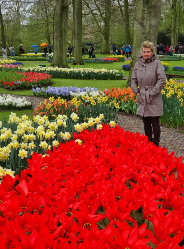 Even under chilly cloudy skies, the flowers seemed to glow