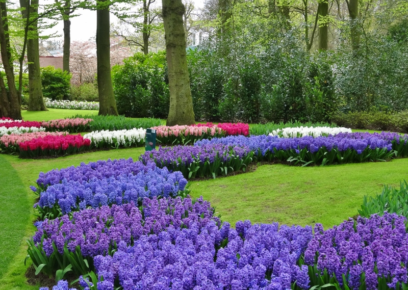 A cracking day out at unforgettable Keukenhof