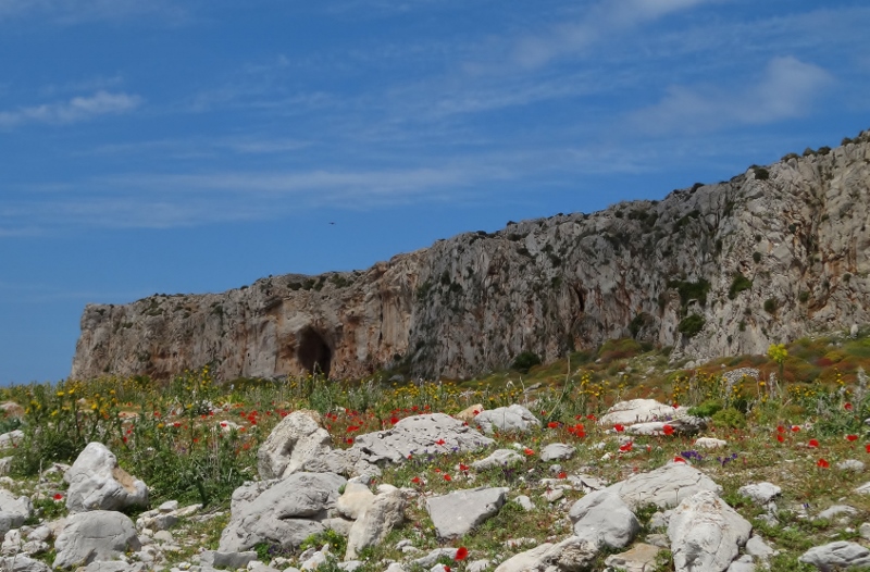 Lovely poppies and the Grotto Cala Mancina